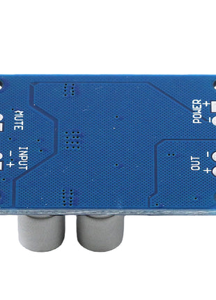 Digital Amplifier Module TPA3118 PBTL Mono Digital Amplifier Board 30W/60W High & Low Power Module
