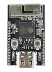 MINI ESP32-S3